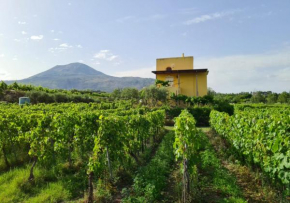 Vesuvio Inn Guest House e Wine Experience